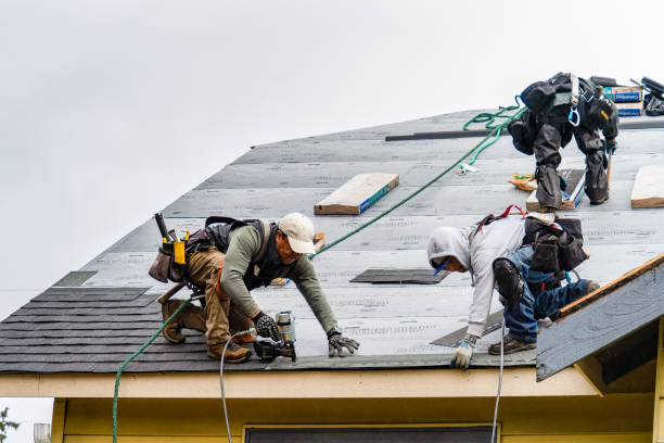 Professional Gutter Installation technician working in Williston, FL